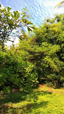 NATURE-9