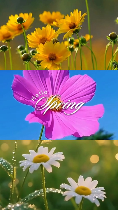 Hola primavera