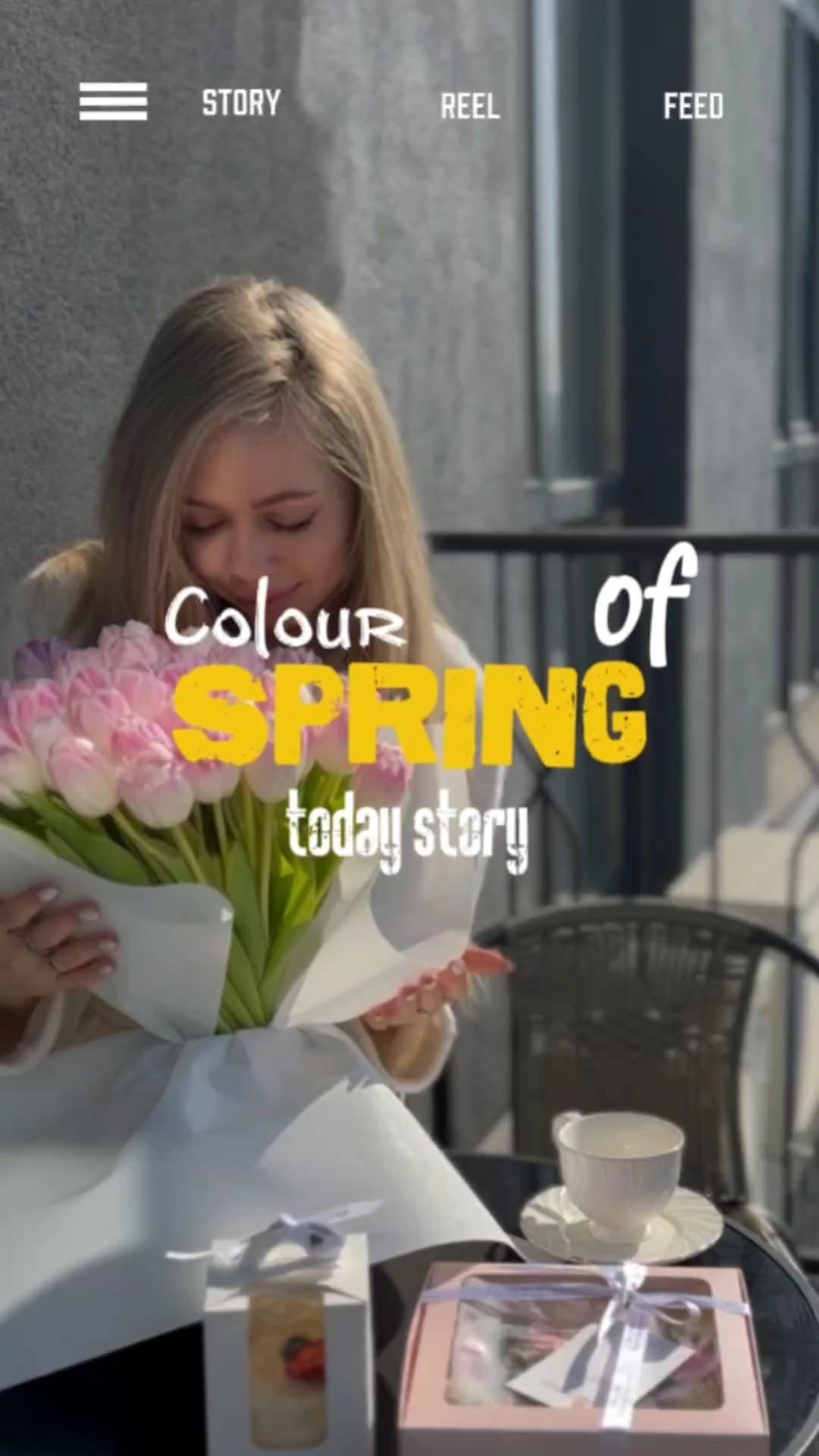 colour spring blooms