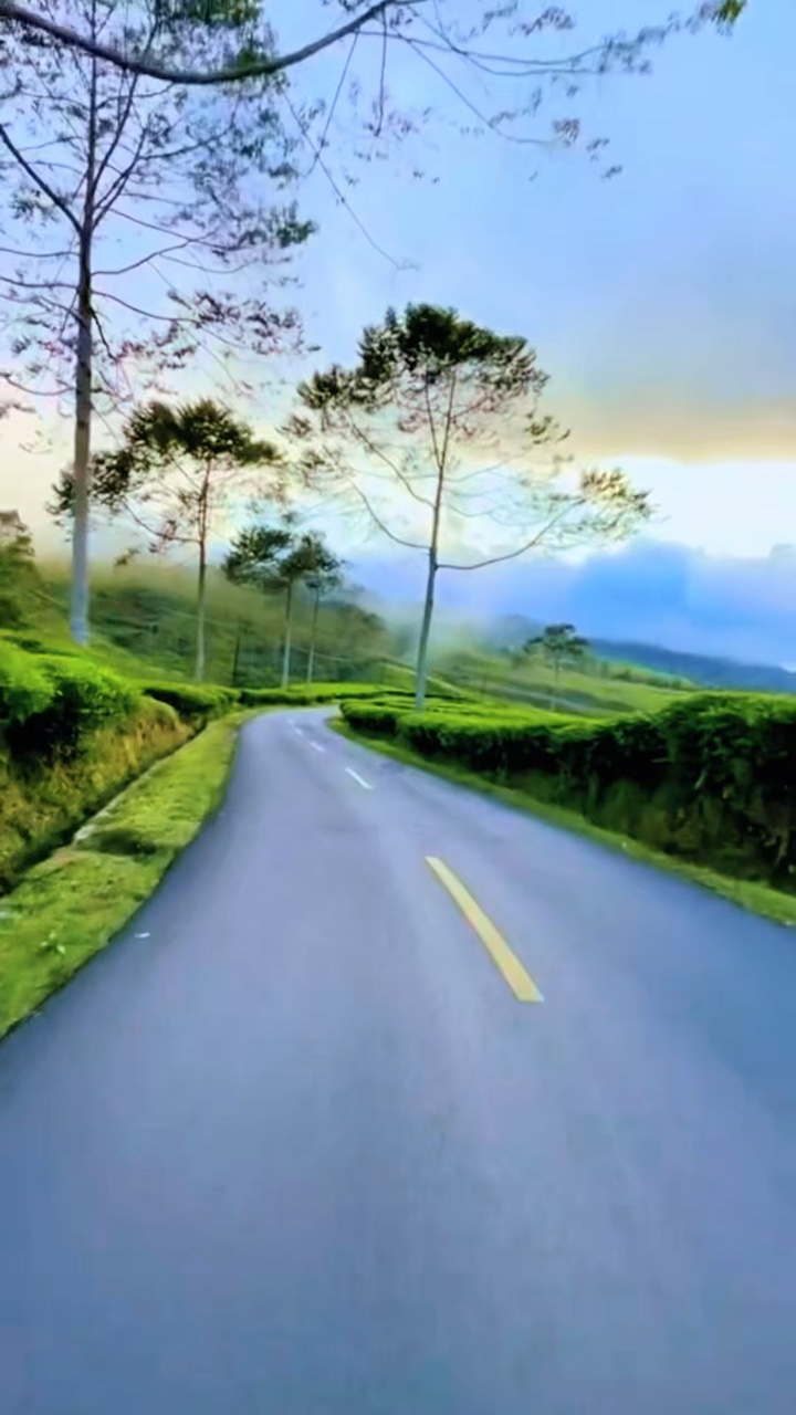 6 video road moments