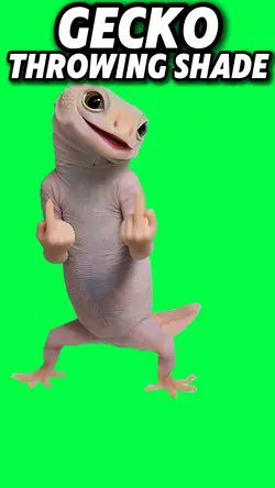 GECKO THROWING SHADE