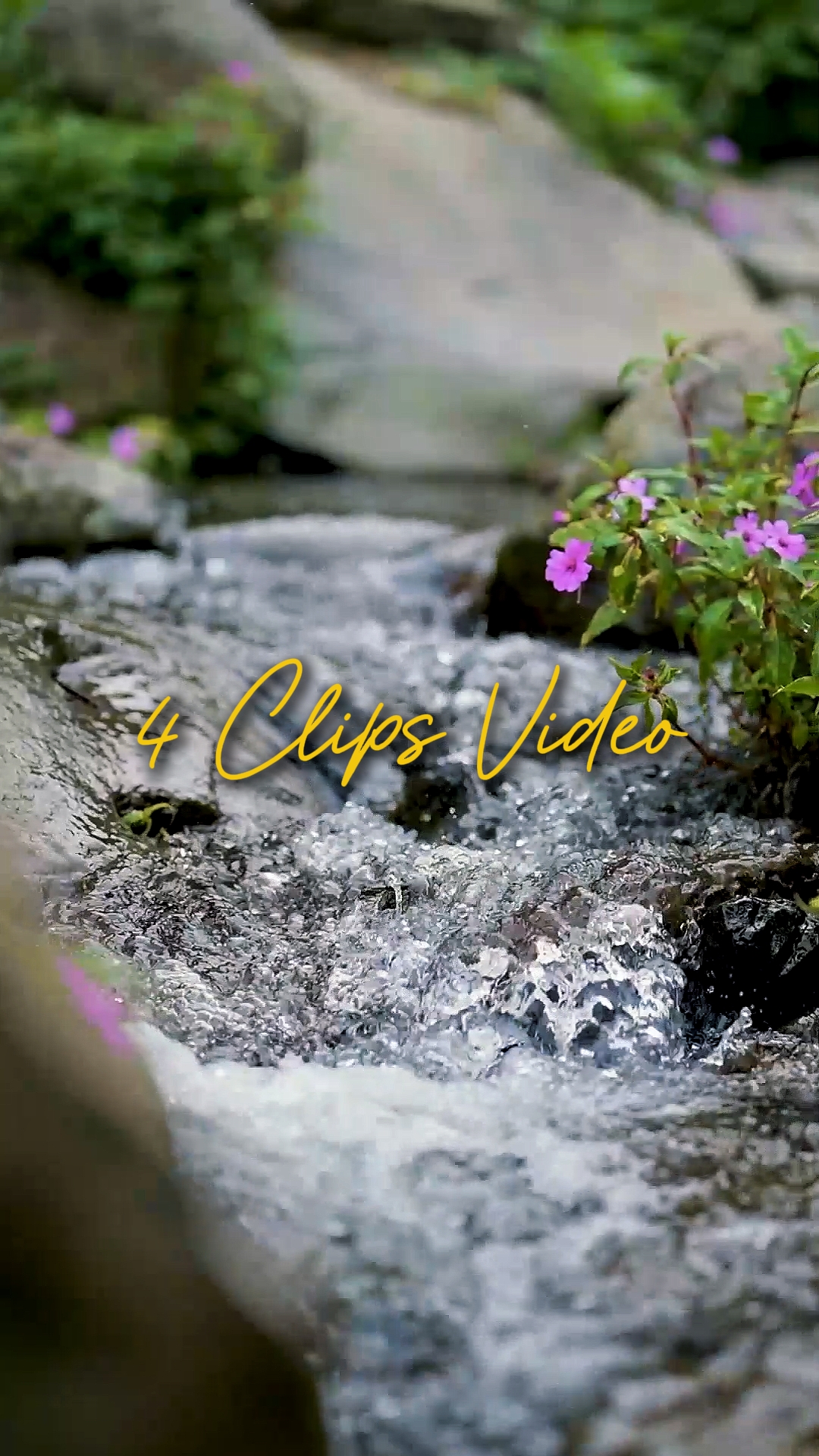 Cinematic 4 Videos