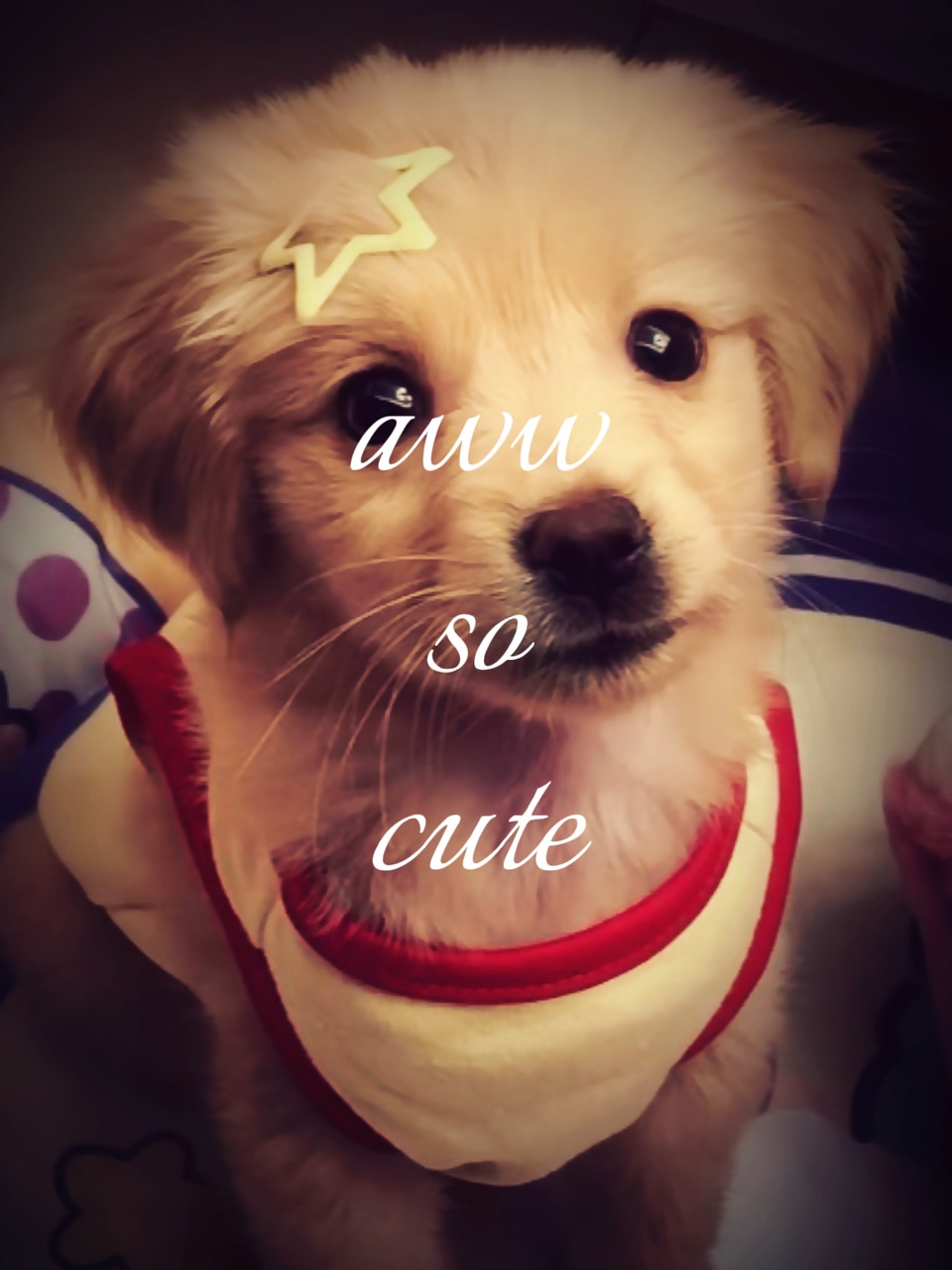 aww so geschnitten