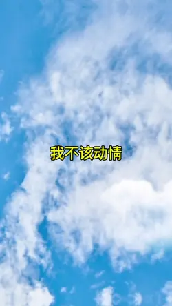 我不该动情