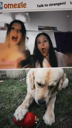 Omegle Suprise 