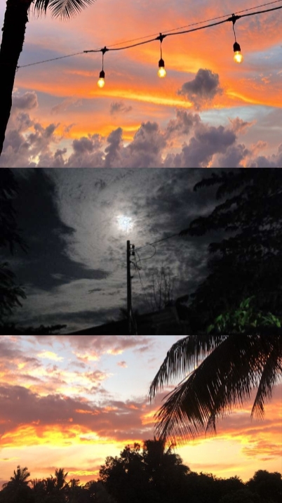 3 FOTOS
