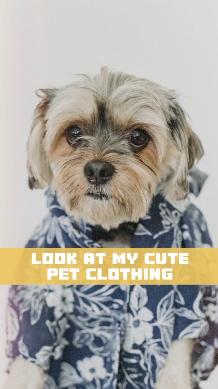 Pet Clothing Product Display Light&Easy&Open TikTok Style