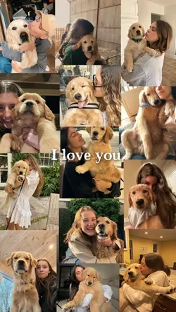 Dog bestfriend