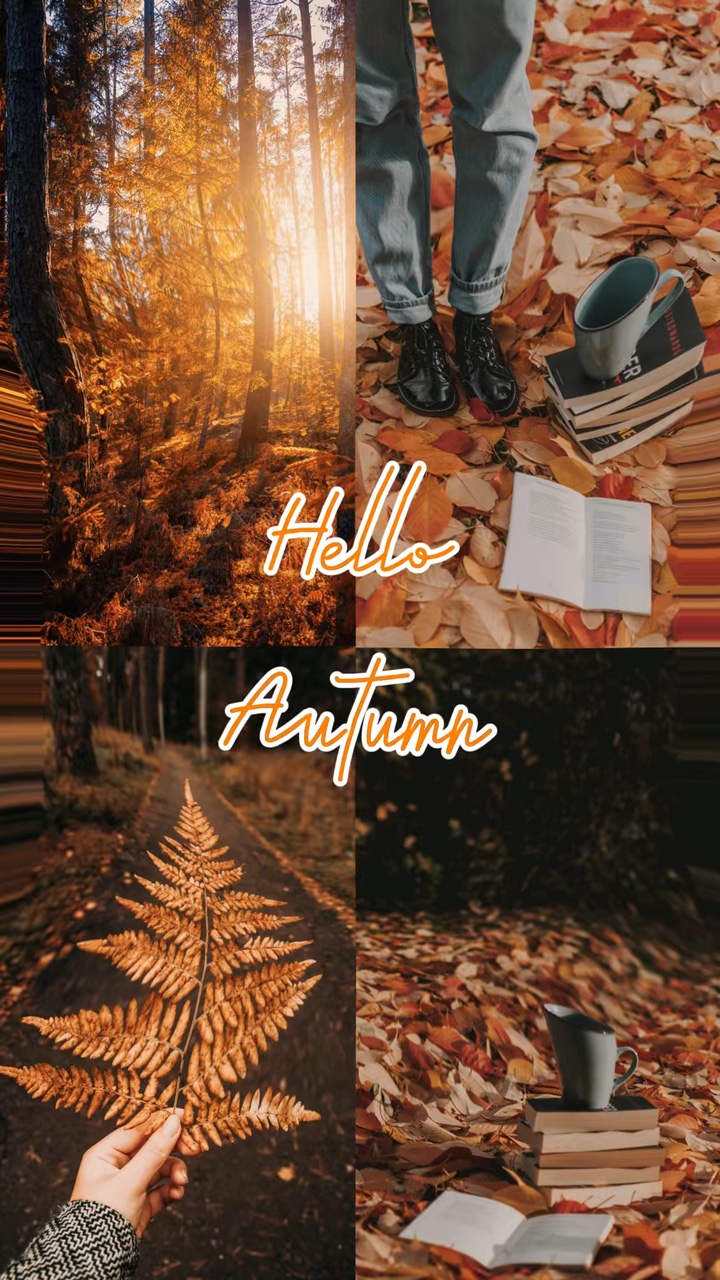 Hallo Herbst 