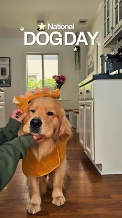 National Dog Day