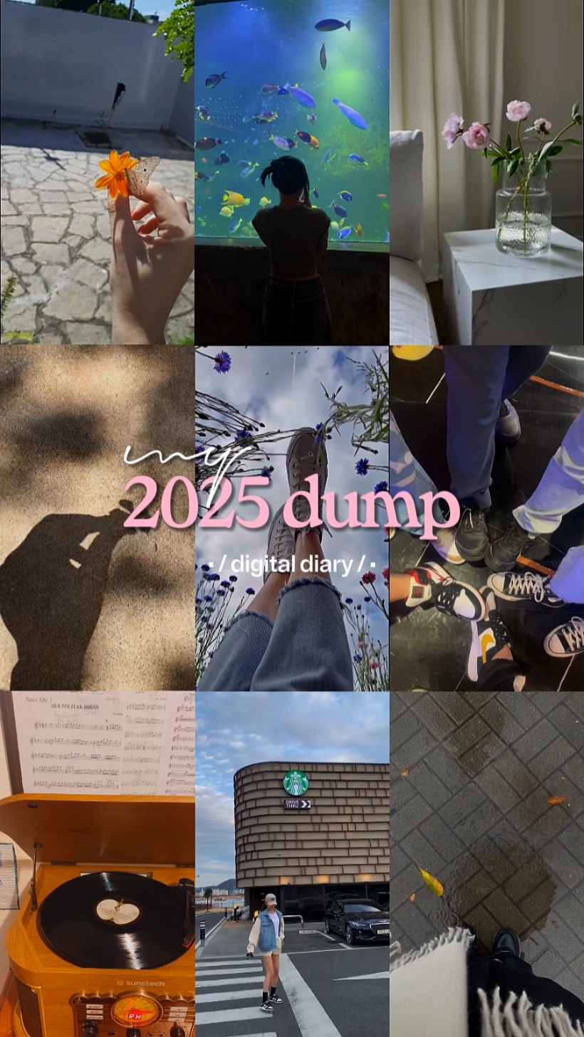 My 2025 dump