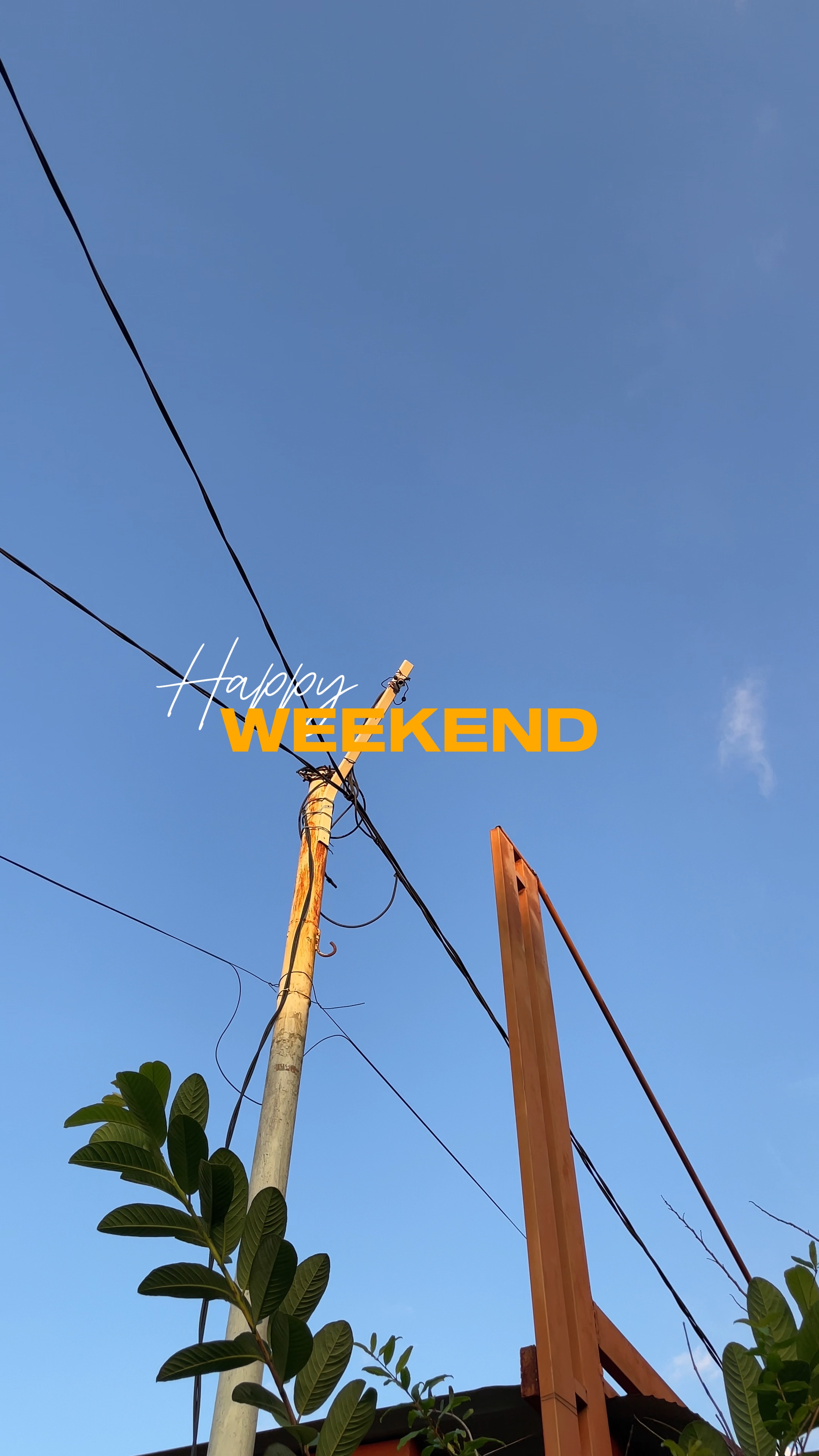 Bonne fin de semaine