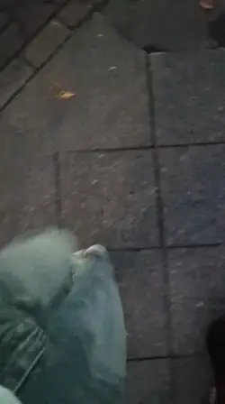030 808 666 1312