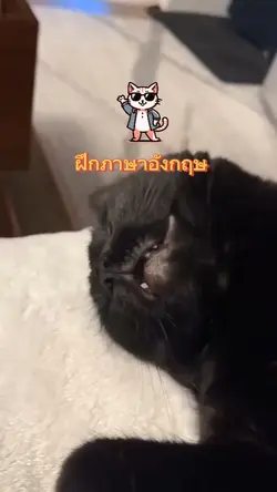 ภาษาอังกฤษวันละคำ