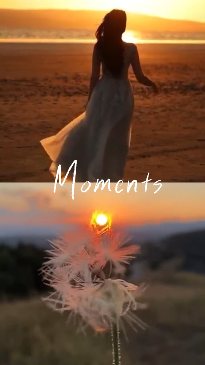 Momentos Lindos 
