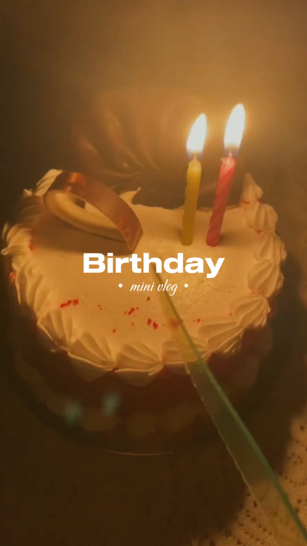 vlog d'anniversaire 