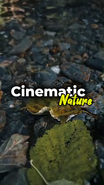 Naturaleza cinematográfica 