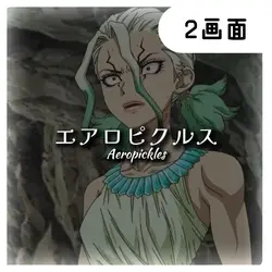 エアロピクルス 2画面Ver. 
