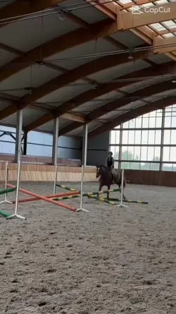 horse Slowmo