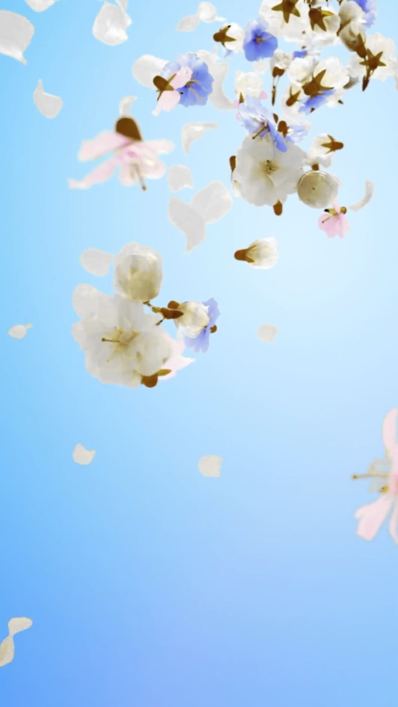 꽃 초상화