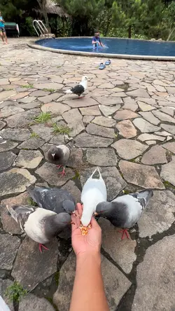 Family time