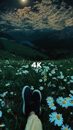 144p vs 4k