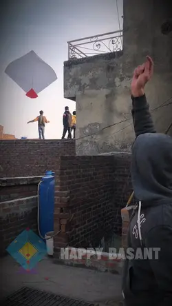 Basant Festival