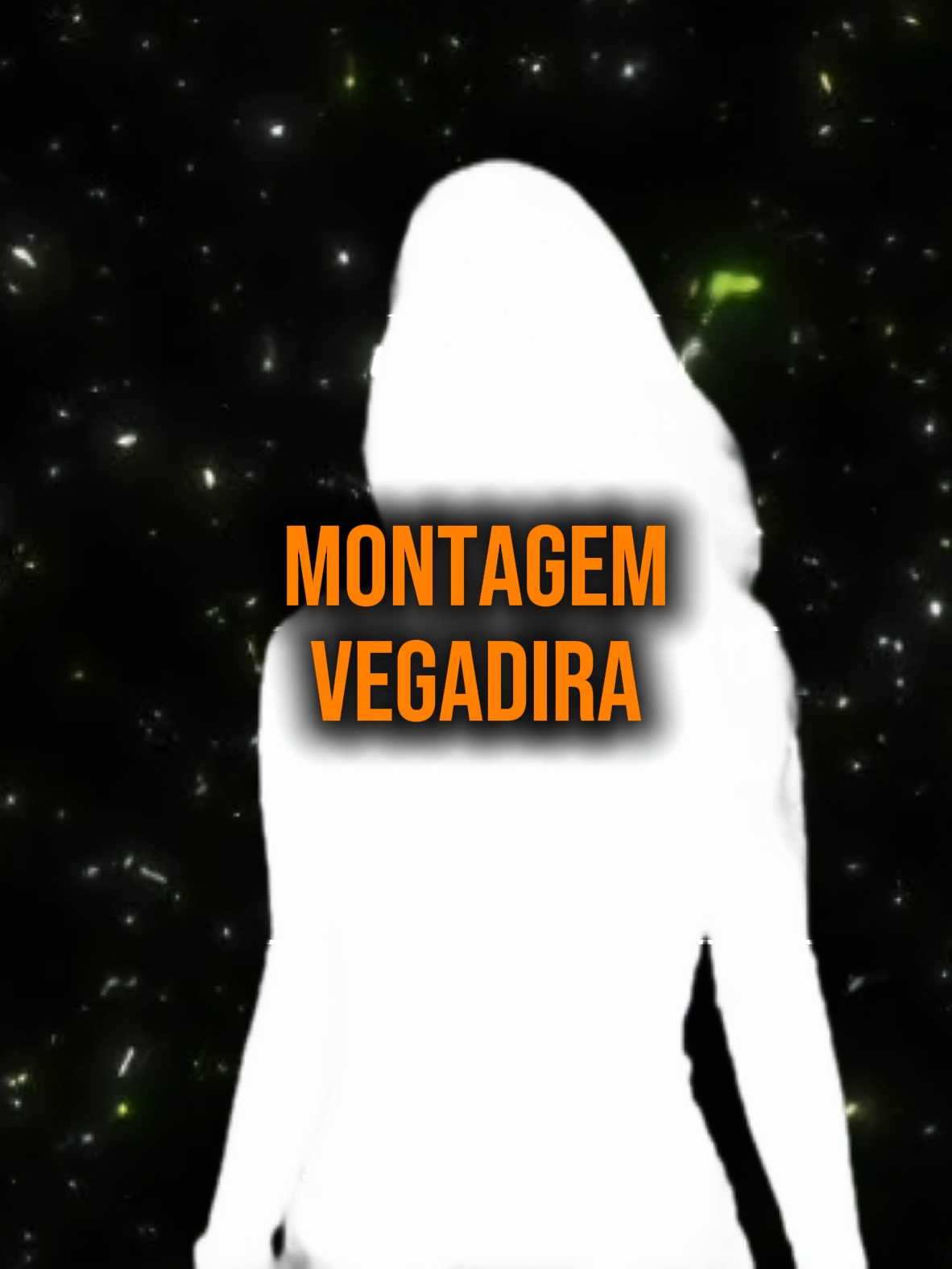 montagem vegadira