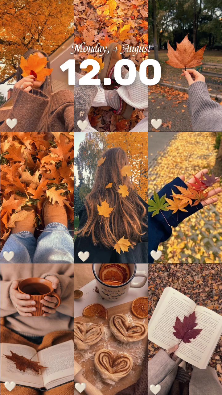 wallpaper autumn