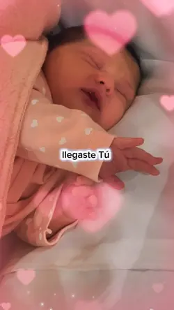 Llegaste Tú