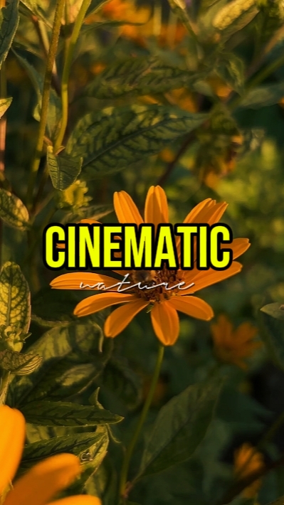 NATUREZA CINEMÁTICA 