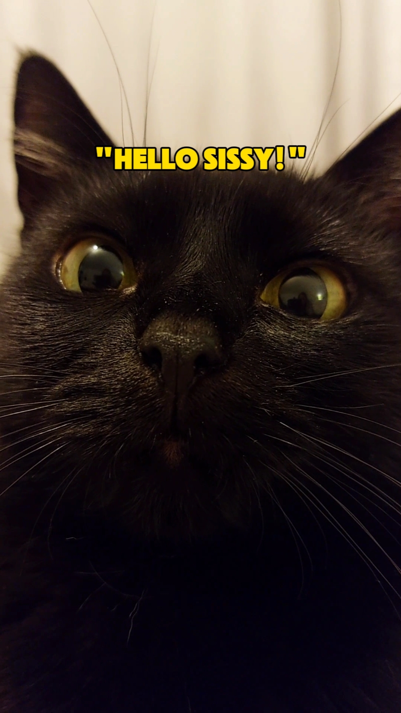 Hola SISSY