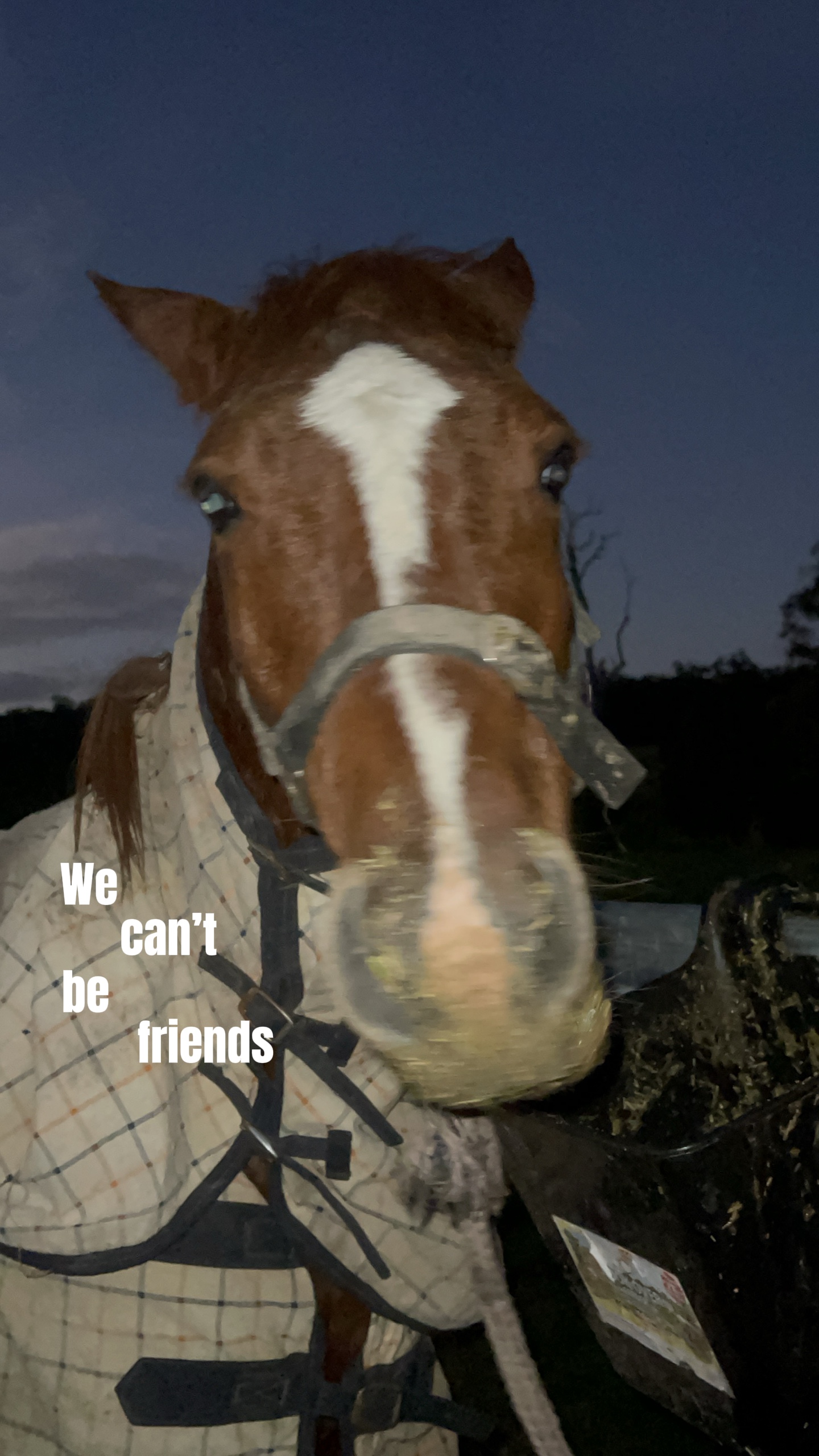 We can’t be friends