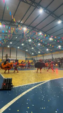Arraia