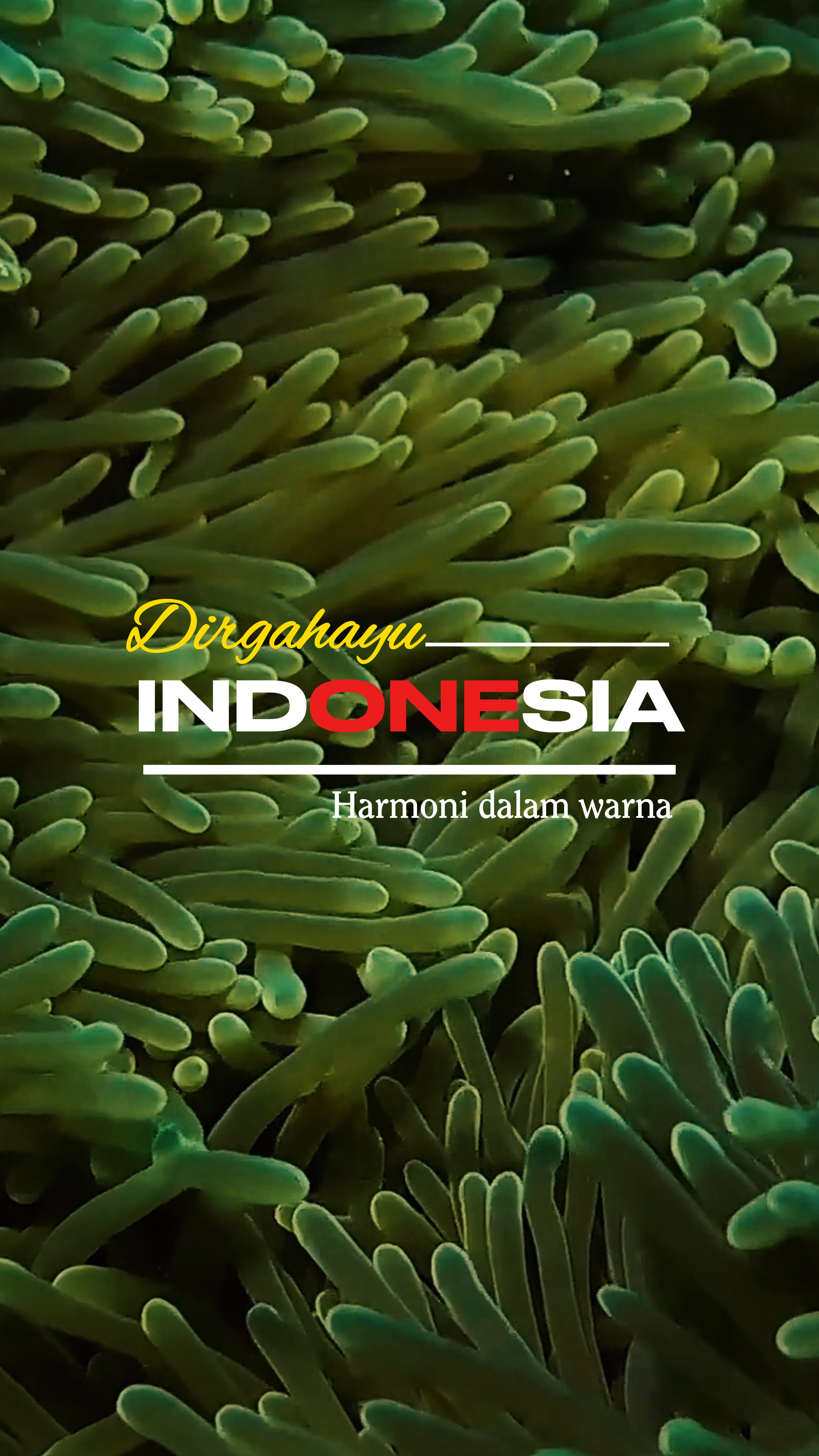 Dirgahayu Indonesia
