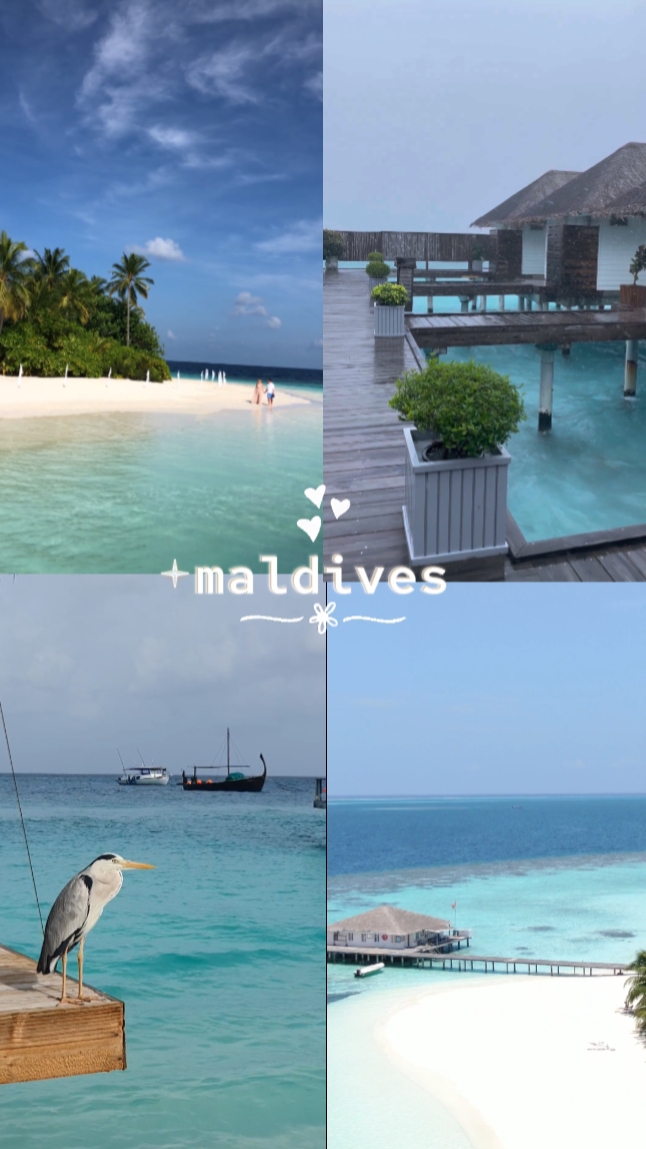 Maldives in 6Seconds