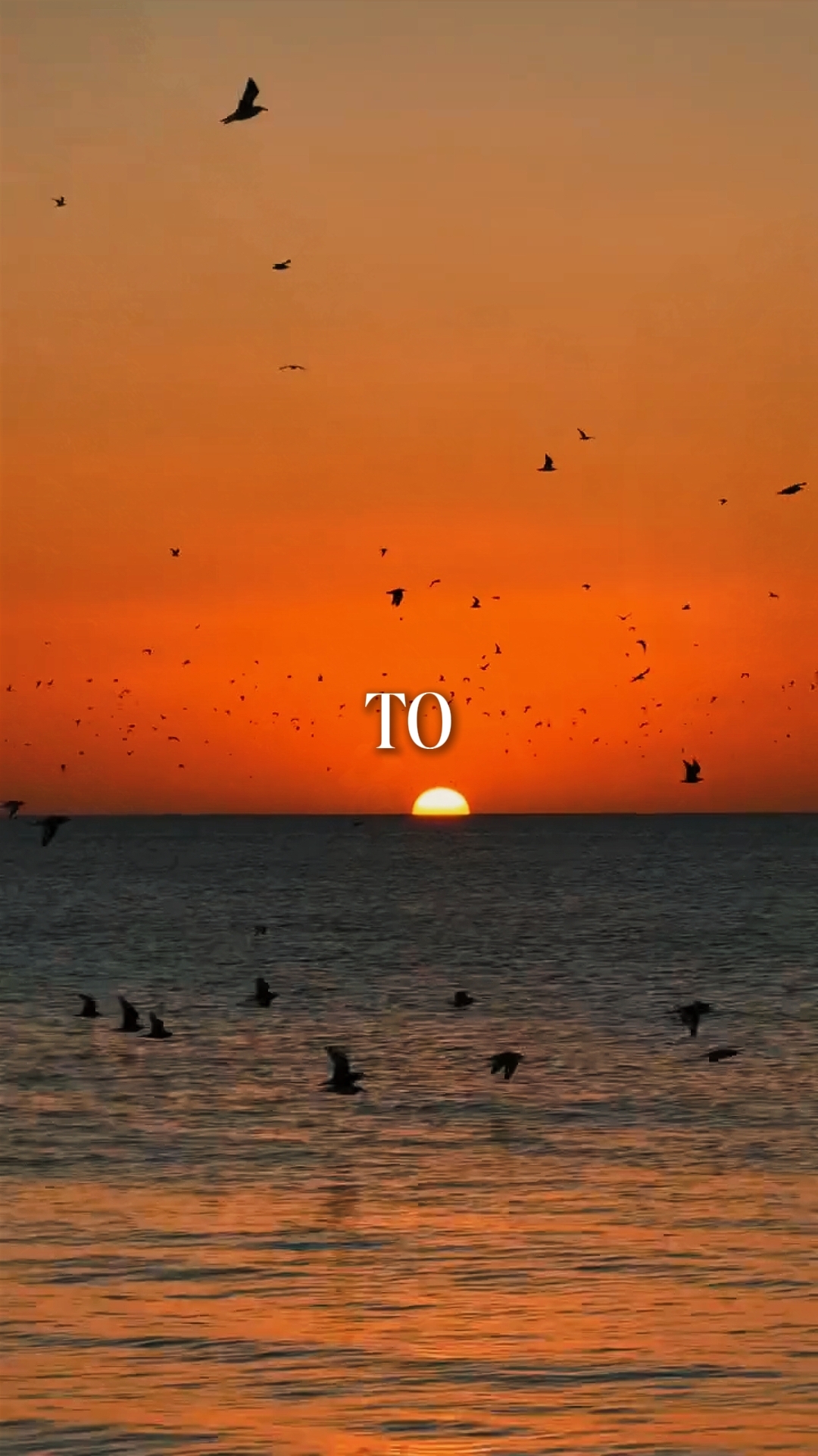 Take Me to
