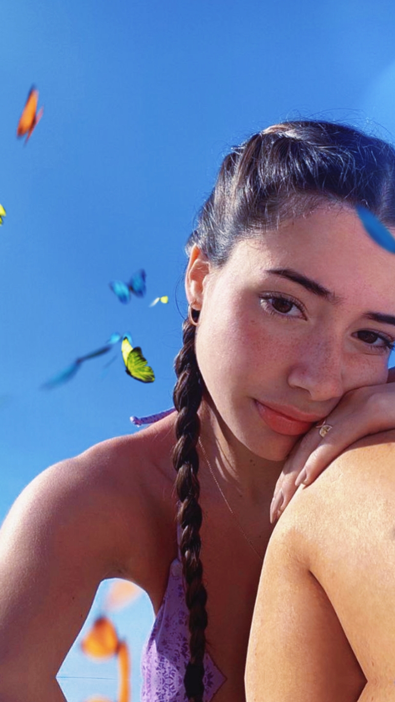butterfly effect