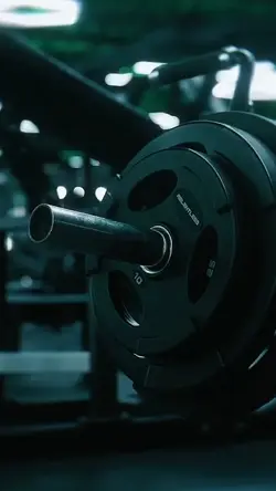 WORKOUT ROUTINE