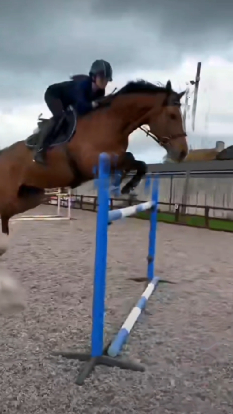 Fly<3
