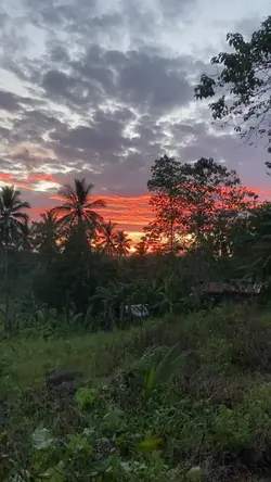 Morning Prayer