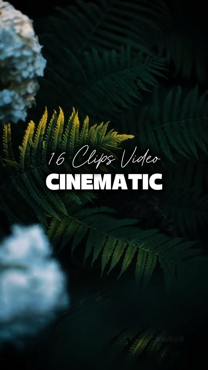 16 Videos Cinematic 