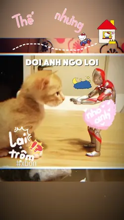 doi anh ngo loi