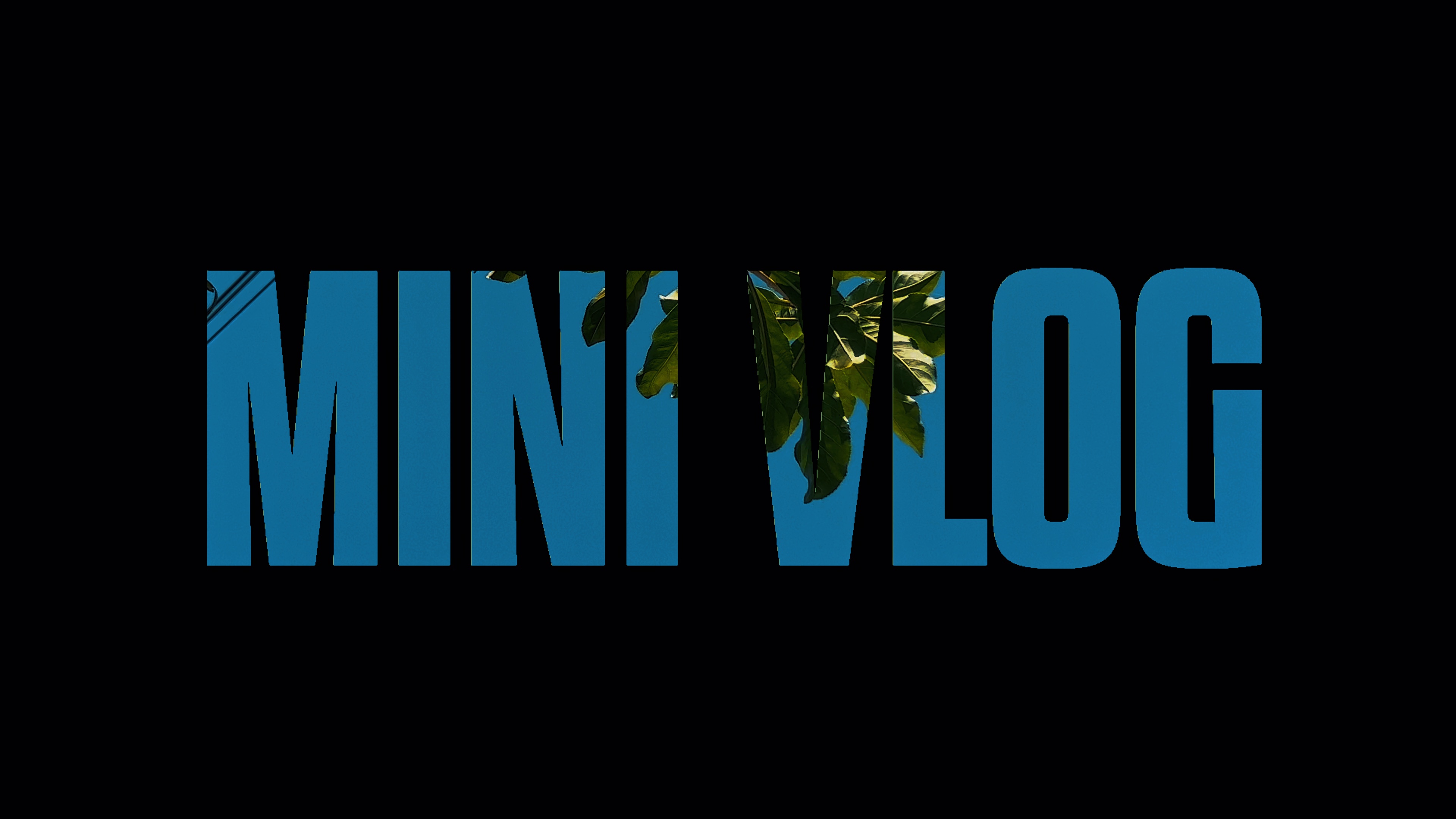 My Vlog 