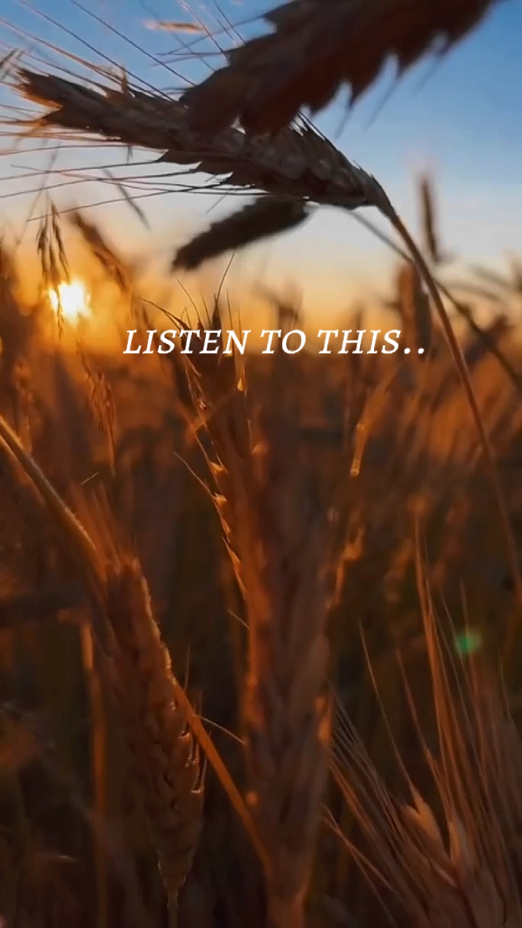voiceover motivation
