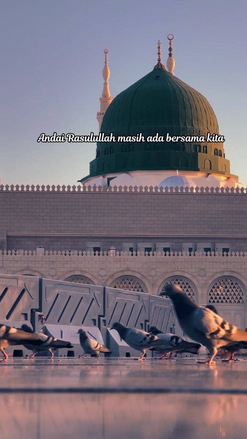 lawkana bainanal hab