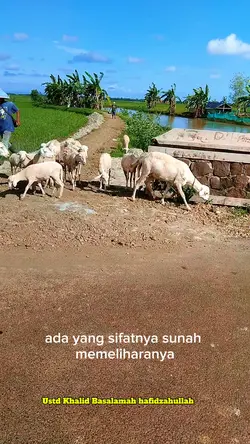 Keutamaan kambing
