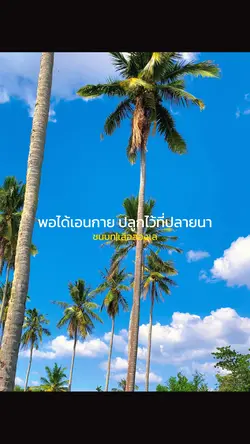 ชนบท ตัวอักษร