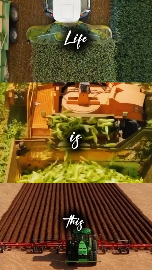 LA AGRICULTURA ES VIDA