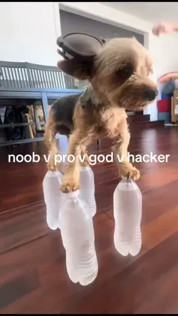 noob pro god...